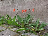 P1450093